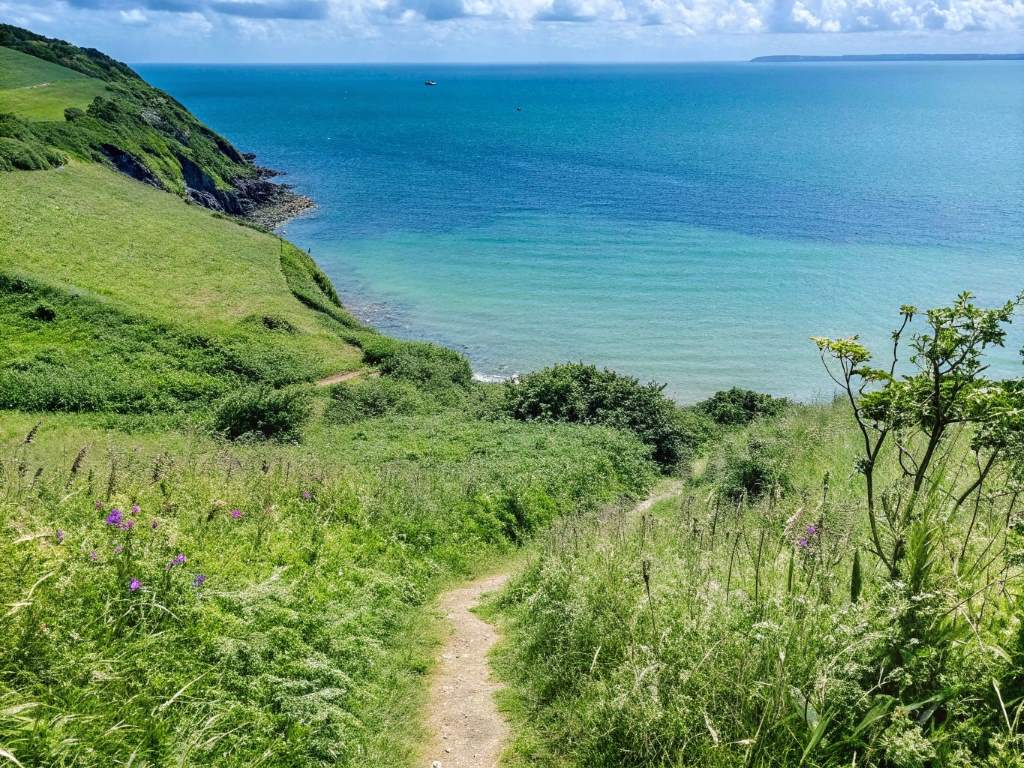 The Best Coastal Trails for Swimrun Training: Your Ultimate Guide